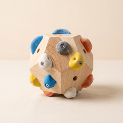 Boulder Block solid wood climbing block with 12 coloured resin holds